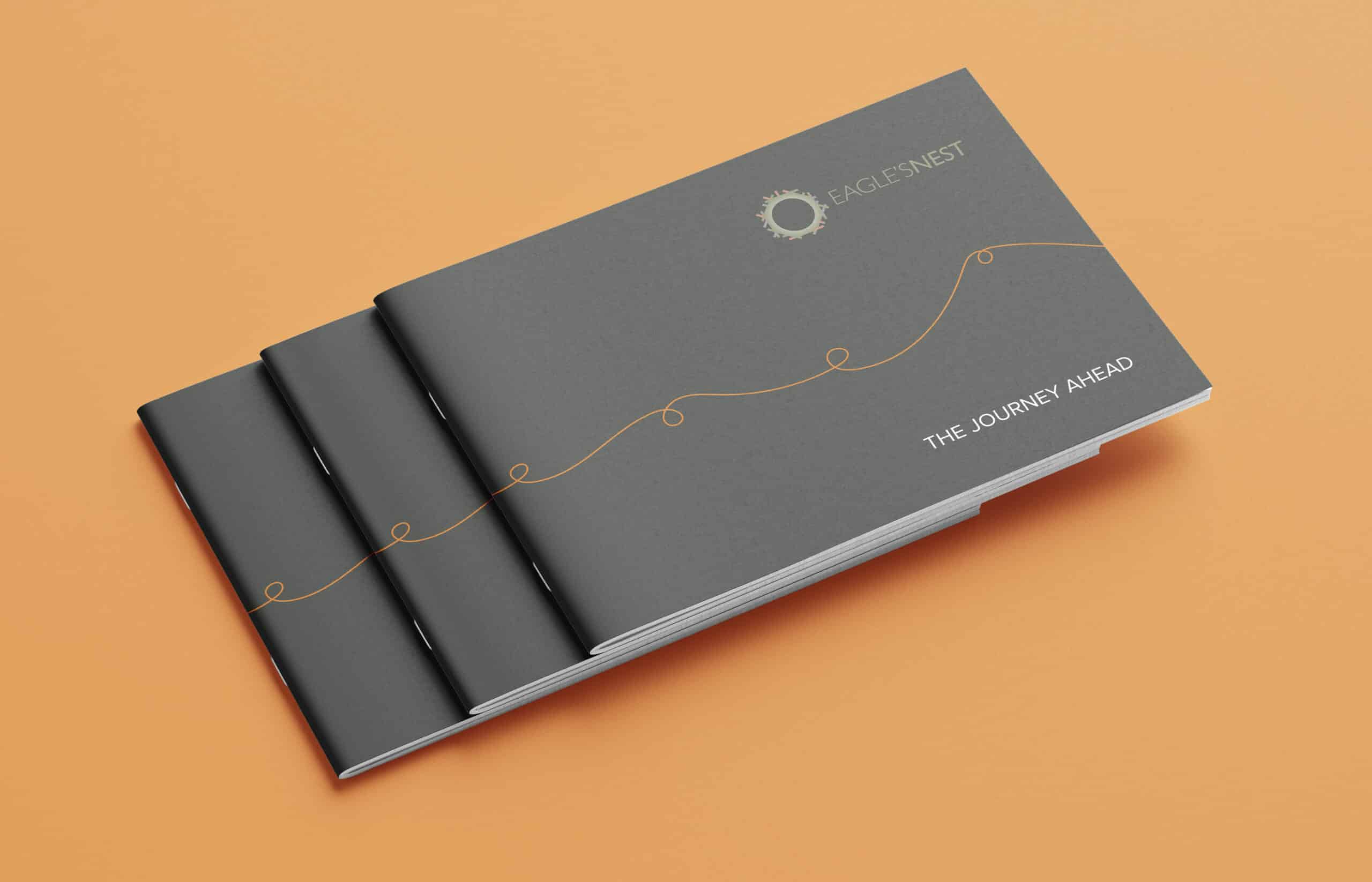 en_brochure_vis_1